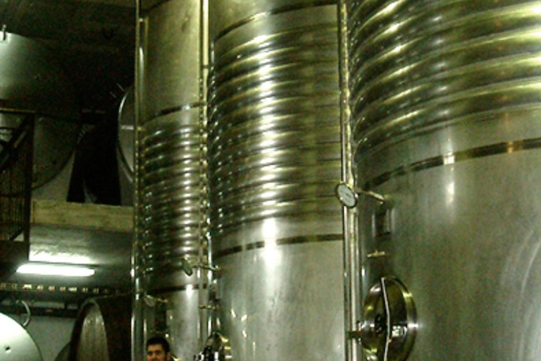 Traditional Cider House Tour | Zabala, San Sebastián