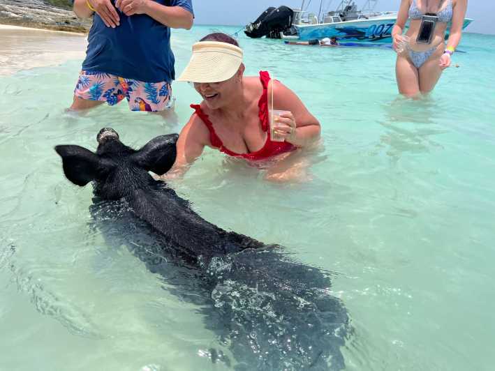 Nassau: Porcos nadadores, observação de tartarugas, mergulho com snorkel e almoço