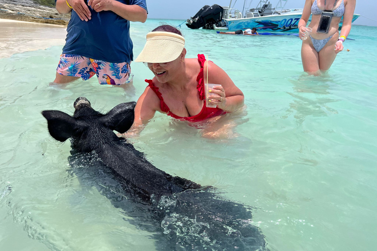 007-Mañana Todo Incluido Nadar con Cerdos en la Isla Rosa007 Todo Incluido-Nadar con cerdos en la Isla Rosa