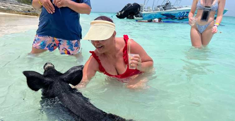 Nassau: Schwimmende Schweine, Schildkrötenbesichtigung, Schnorcheln und Mittagessen