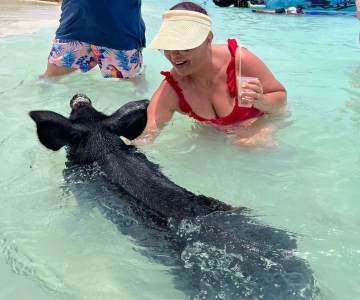 Nassau: Swimming Pigs, Turtle Viewing, Snorkeling, and Lunch