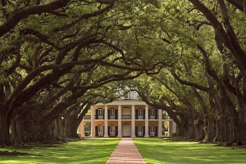 New Orleans: Oak Alley Plantation Halve Dag Tour