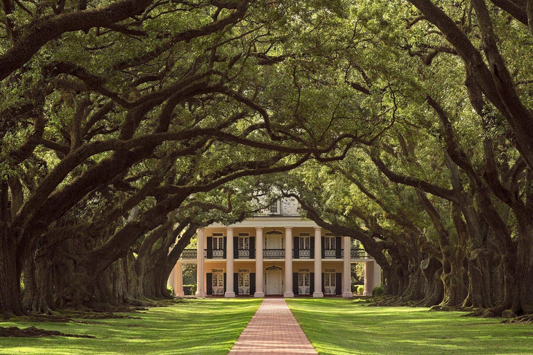 Nova Orleans: Excursão de meio dia à Oak Alley Plantation