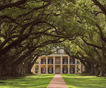 New Orleans: Oak Alley Plantation Half Day Tour