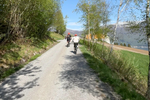 Guided E-bike tour in Olden