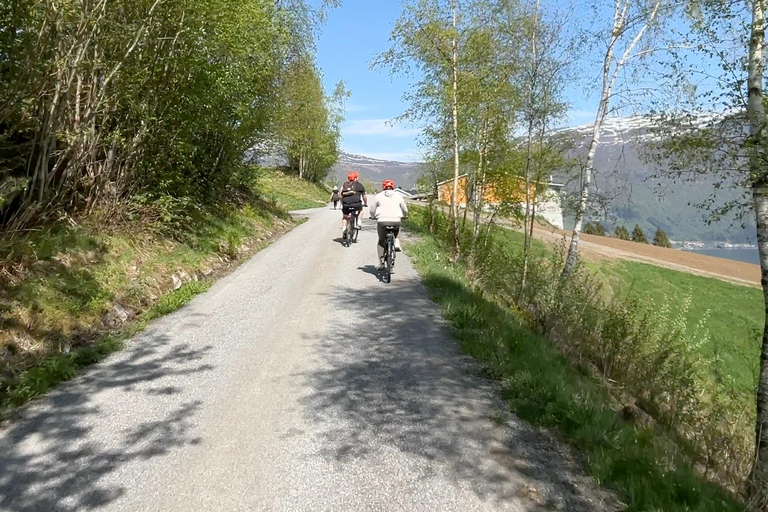 Tour guiado en bicicleta eléctrica por Olden