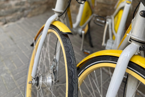 塔林：24小时城市自行车租赁