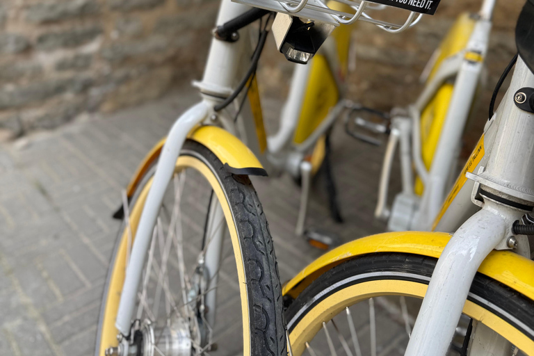 塔林：24小时城市自行车租赁