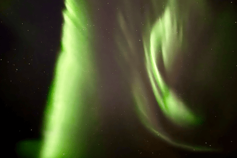 Lapland Pallas: Private Adventure Across All Terrain