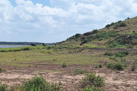 Nairobi: Amboseli National Park Tagestour mit PirschfahrtenSolo Nairobi: Amboseli National Park Tagestour