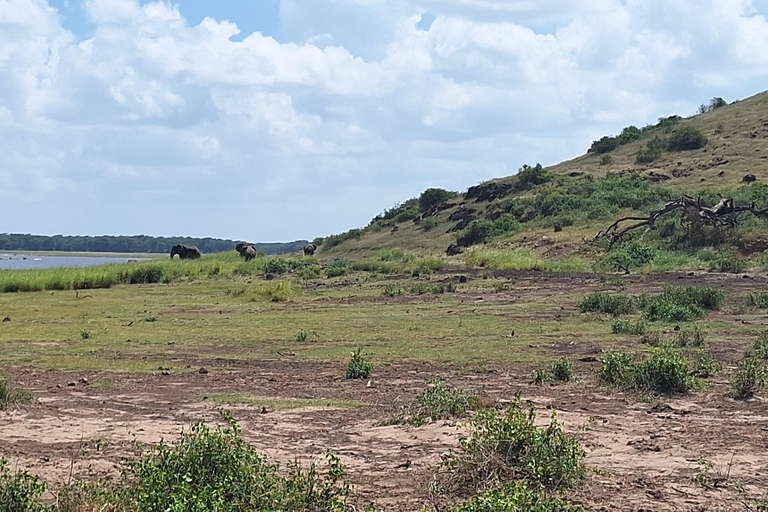 Nairobi: Amboseli National Park Tagestour mit PirschfahrtenSolo Nairobi: Amboseli National Park Tagestour