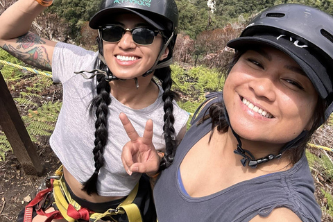 From Medellín: Coffee Tour and Zip Line in the Mountains