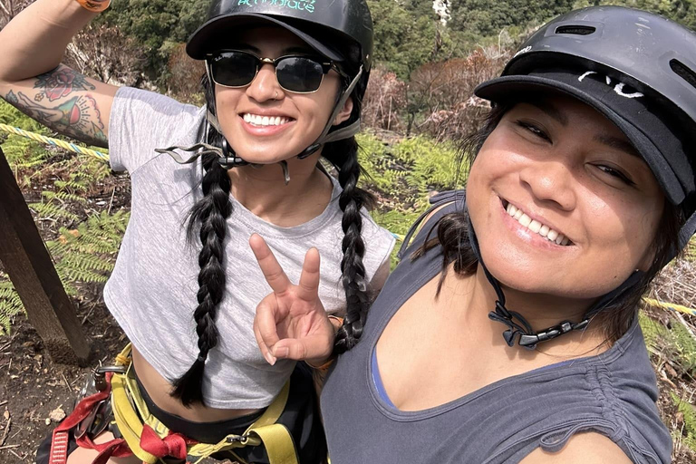 From Medellín: Coffee Tour and Zip Line in the Mountains