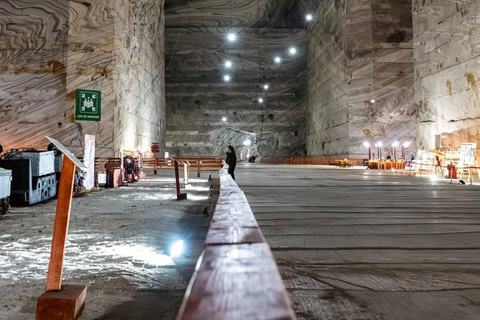 From Brașov: Slanic Salt Mine and Peles Castle Tour