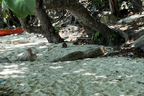 Phi Phi Island : Lyxig privat träbåtsuthyrning