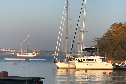 Helsinki: Private Catamaran Sailing in up to 15 pax