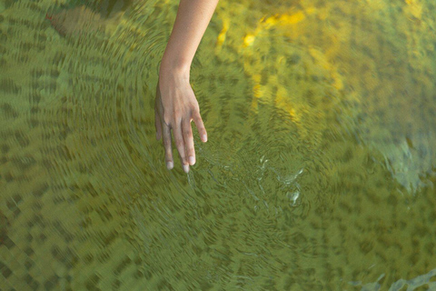 Taupo: Natural Thermal Springs Day Pass, Adults Only