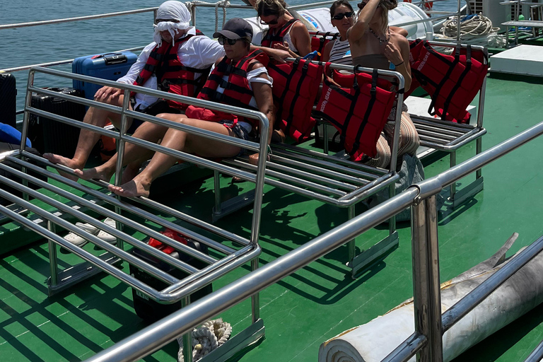 Fast Boat Transfer: Bangsal & Gili Islands ⇄ Nusa Penida The Tanis Fast Cruise: Bangsal & Gili Islands to Nusa Penida