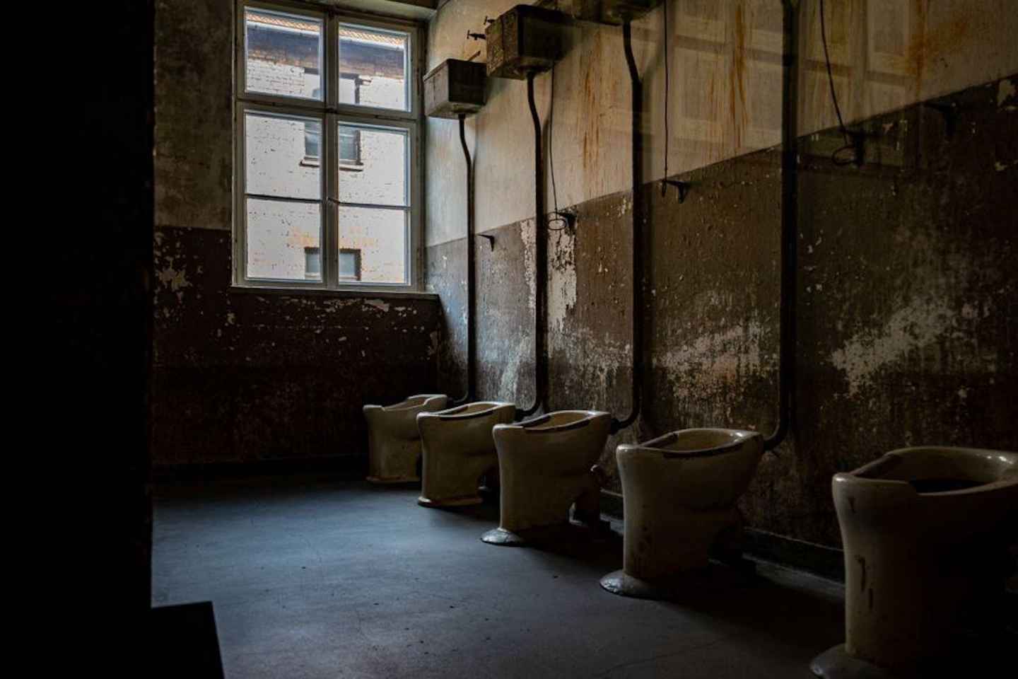 Auschwitz-Birkenau: Skip-the-Line Entry and Guided Tour