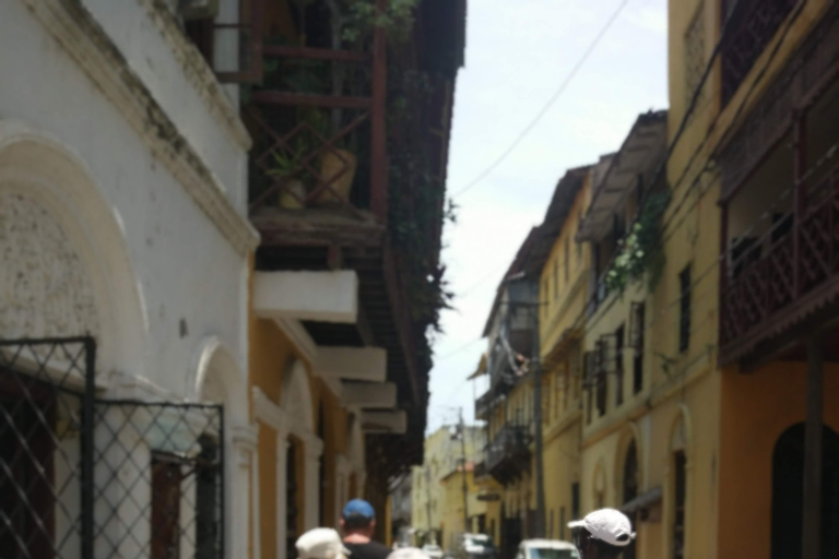 Mombasa City Highlights & Authentic Mijikenda Village Culture & Traditions