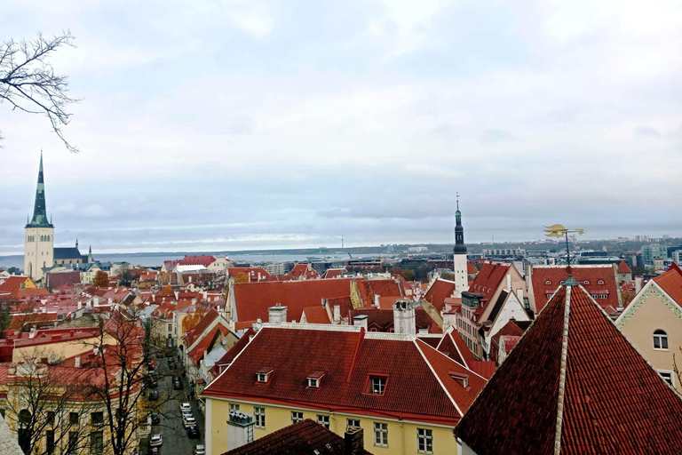 Tallinn: Old Town History and Legends Walking Tour