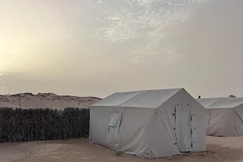 From Tunis, Hammamet, Sousse: Sahara Camping Sunset & oasis From Hammamet