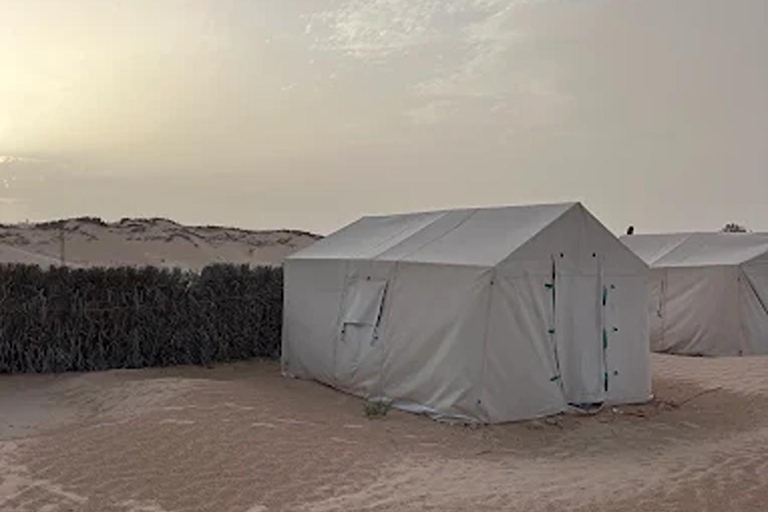 From Tunis, Hammamet, Sousse: Sahara Camping Sunset & oasis From Hammamet