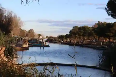 Valência: Mercado local, passeio de barco e oficina de paella.
