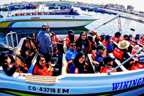 Paracas, Ballestas Islands, & Paracas National Reserve Tour from Ica