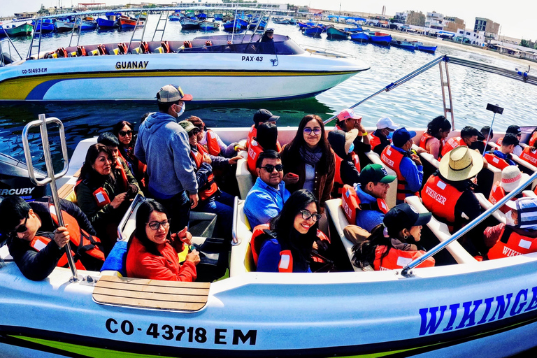 Paracas, Ballestas Islands, & Paracas National Reserve Tour from Ica