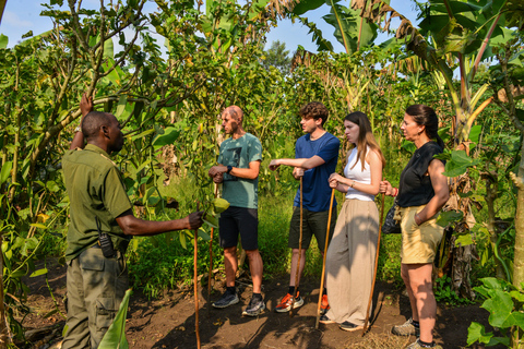 Kibale National Park Chimpanzee Trekking, Culture, Farm tour