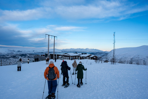 Tromsø: Daytime Fjellheisen Snowshoe Hike and Cable Car Ride