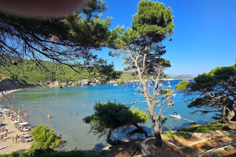Dubrovnik: Blue Cave and Green Caves Boat Tour from Old City