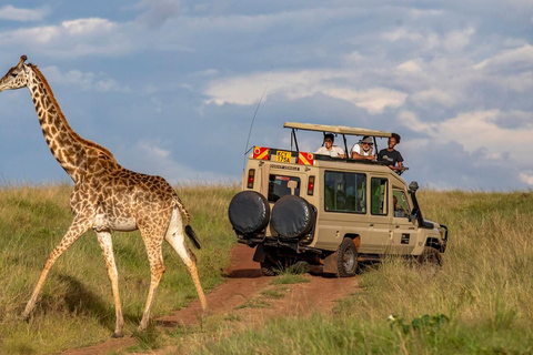 Nairobi: 3-Day Fly-In Private Maasai Mara Safari Experince