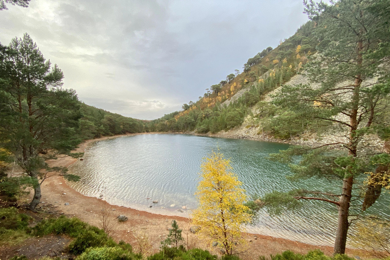 From Inverness: Scottish Highlands Walking Tour with Guide