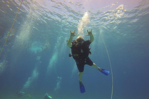 Cancun: Erstes Taucherlebnis mit 2 Tanks