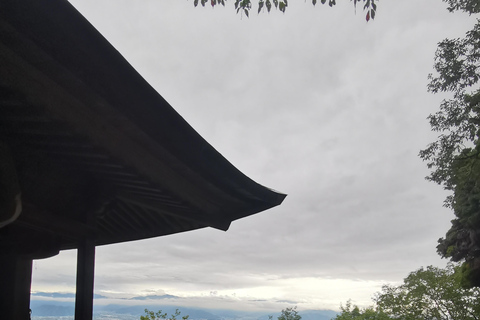 长野：隐秘神社徒步导览之旅（含小吃和饮品）