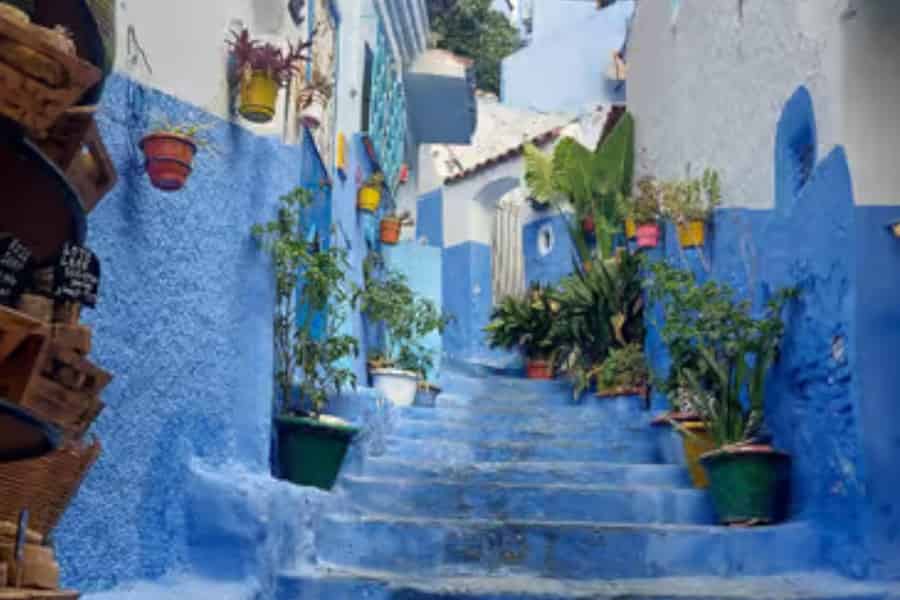 5-Tagestour ab Fès nach Marrakesch: Tour in die Königsstädte & nach Chefchaouen. Foto: GetYourGuide