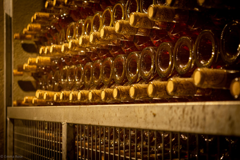 Istanbul: Private Wine Tasting Day Trip to Tekirdag