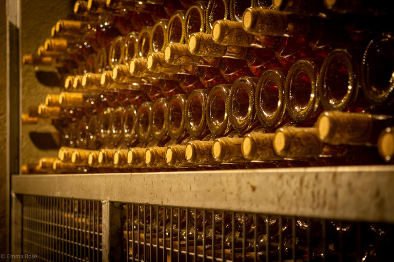 Istanbul: Private Wine Tasting Day Trip to Tekirdag