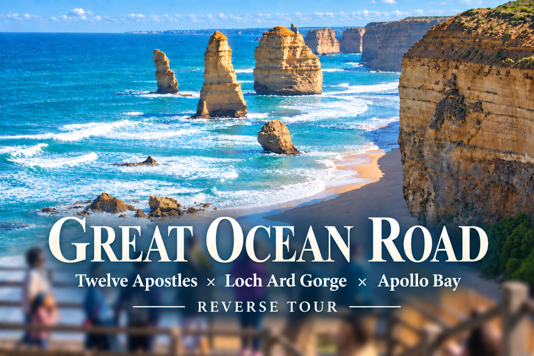Melbourne: Great Ocean Road Tour, 12 Apostles & Apollo Bay Melbourne CBD Meeting Point (Max 50 guests)