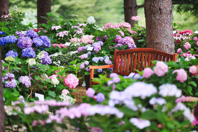 From Seoul: Garden of Morning Calm & Gangchon Rail Bike 8:10 am, Depart fr Hongik University station