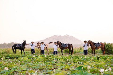 Siem Reap: Horseback Ride with Tour Guide at Phnom Krom (1 hour) Horseback Ride with Tour Guide