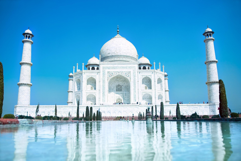 Visita guiada sin colas al Taj MahalVisita guiada en coche al Taj Mahal sin hacer cola