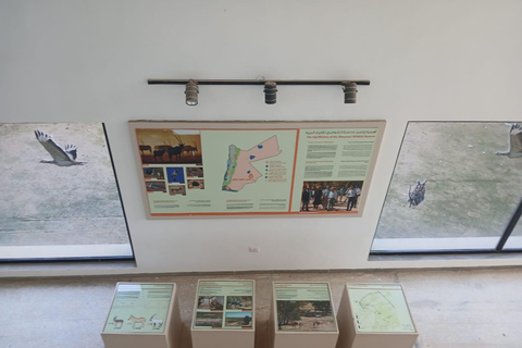 Amman: Desert Castles Shaumari Wildlife Private Day Trip