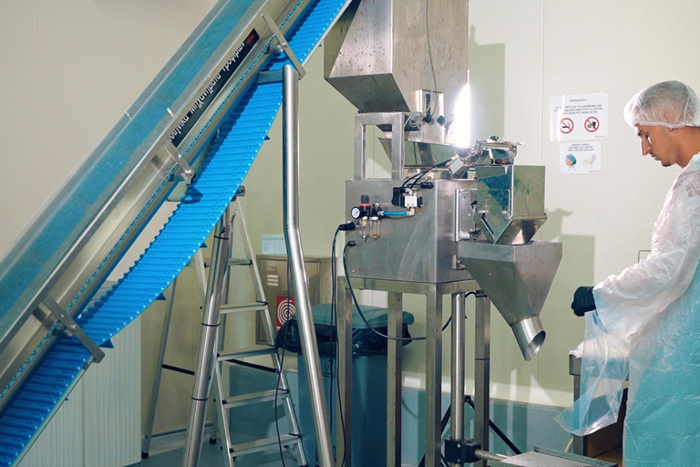 Saloniki: Halkidiki/Sithonia Swim, Sunset &amp; Olive Tour