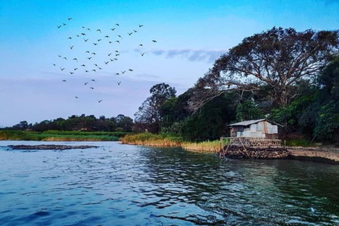 Bahir Dar: Lake Tana Monasteries & Blue Nile Falls Tour