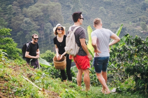 Excursión a las cataratas de Materuni y al café para grupos reducidosExcursión al café del Kilimanjaro, paseo por el pueblo, cascadas y almuerzo caliente