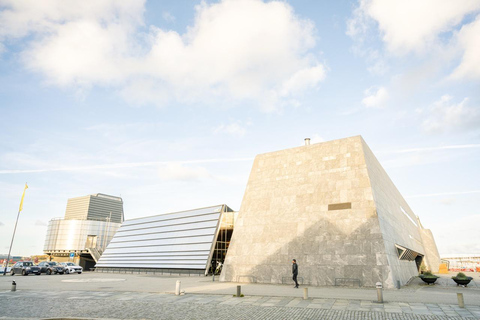 Private Stavanger city Highlights Driving tour