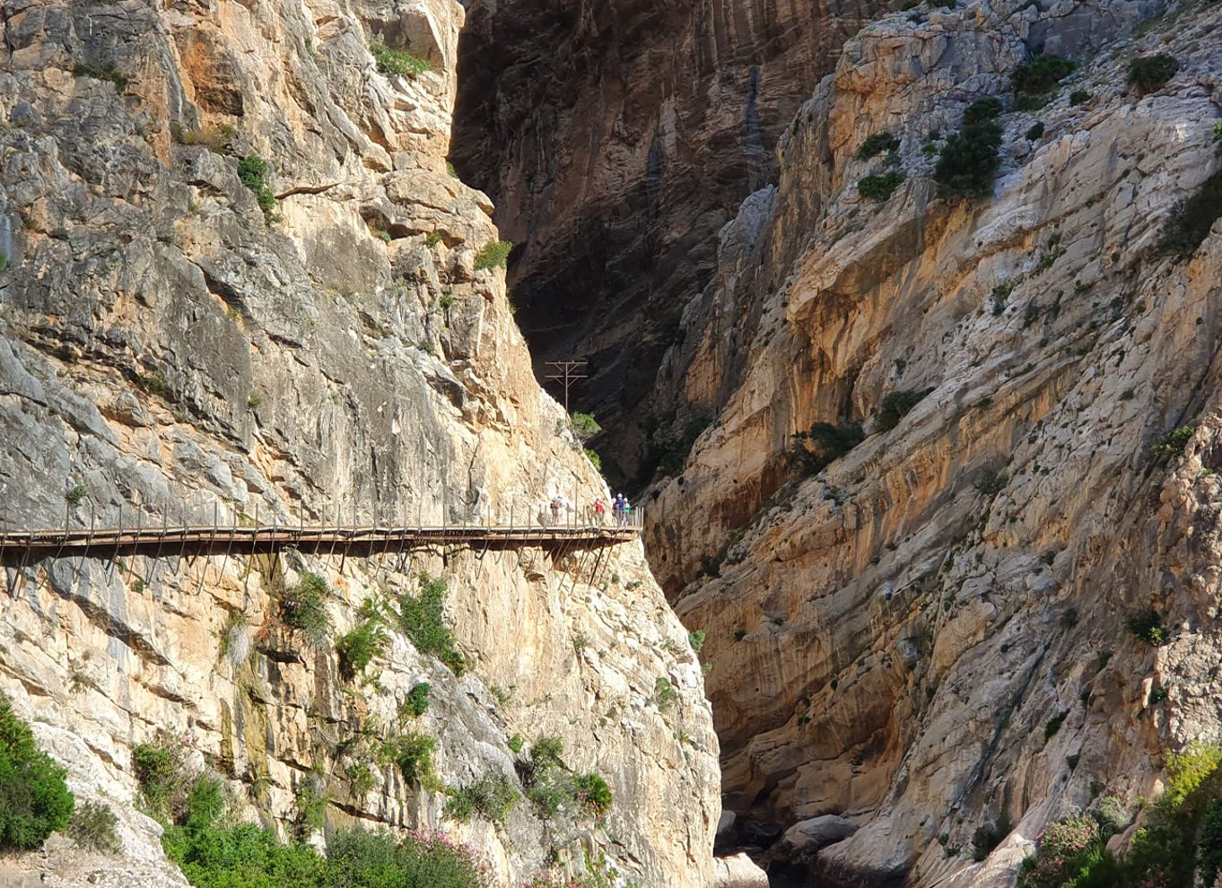 Málaga: Caminito del Rey guidet tur med transport